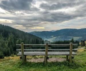 A bench on a mountain with a view of the Black Forest.